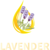 lavender-01