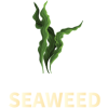 seaweed-01
